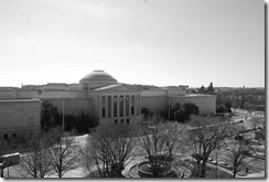DSC_0867-1