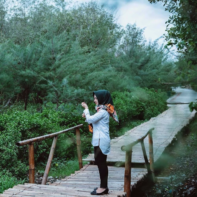 Lokasi Wisata Mangrove Gunung Anyar