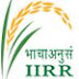 Indian Institute of Rice Research (IIRR) Recruitments through walk in interview for Research Assistant, Senior Research Fellow, Junior Research Fellow, Technical Assistant and Data Entry Operator Jobs