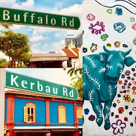 Buffalo Road and Kerbau Road