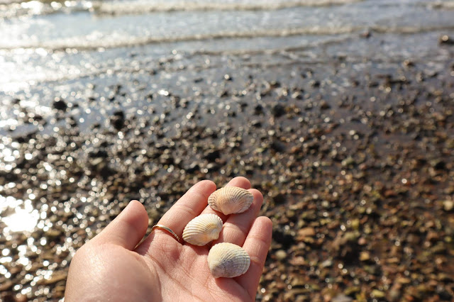 A day trip to Whitstable