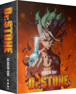 Dr Stone Anime Series Image 16