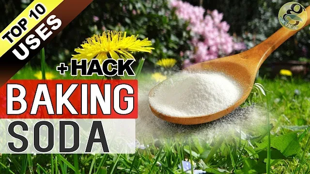 Baking Soda Is A Gardener's Best Friend: Here Are 10 Clever Uses In The Garden