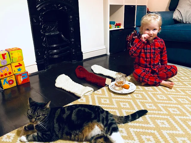 A 3 year old in PJs and a cat sitting next to 3 stockings and a plate with treats for Father Christmas
