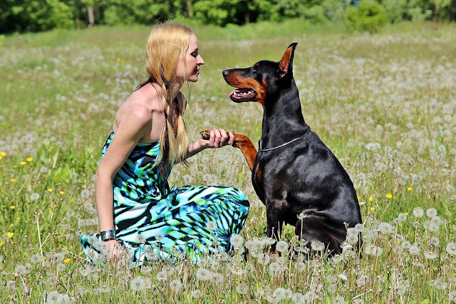 Can Dogs Eat Pecans? Or Are They Best Left On The Shelf? What You Should Know Before Sharing Your Nuts