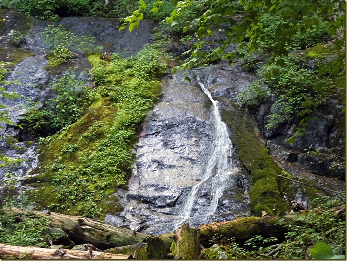 2012-08-04 - Blue Ridge Parkway - MP 46-0 (19)