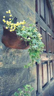 Flower pot with yellow flowers in Tuscany