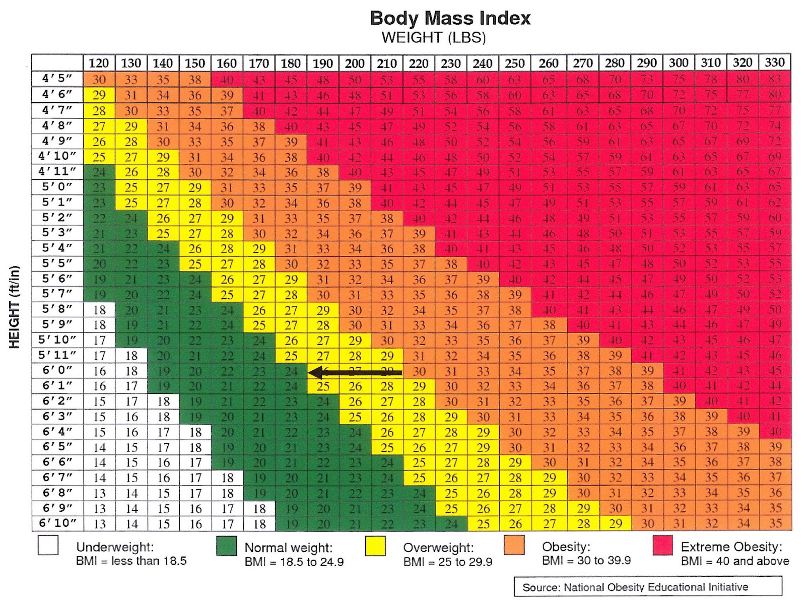 Weight Loss Doctors Colorado Springs