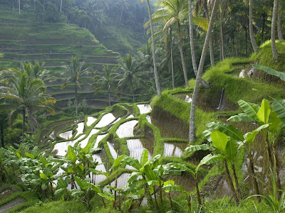 Ubud Pulau Bali