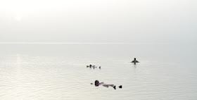 Floating in the Dead Sea - one of the top things to do in Jordan as a tourist