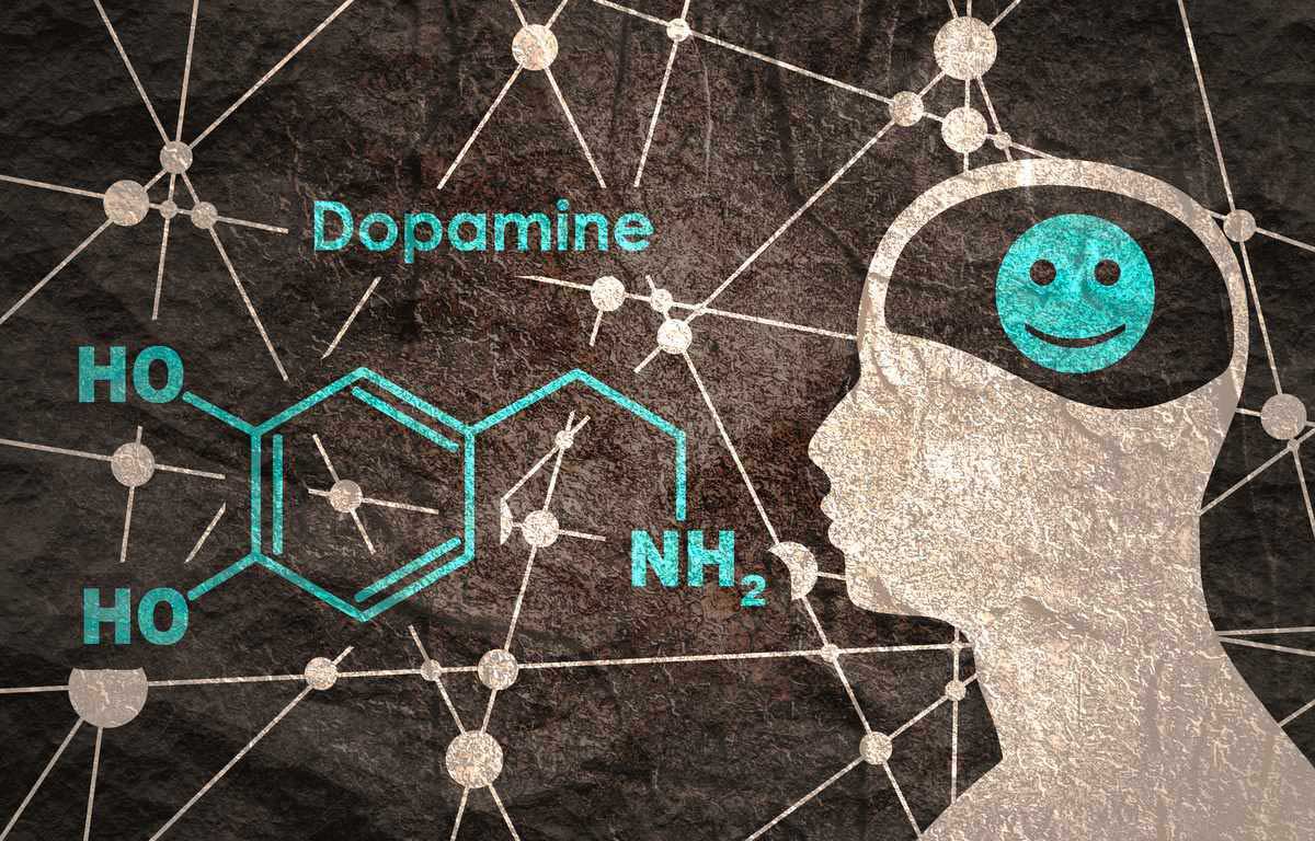 augmenter naturellement le taux de dopamine