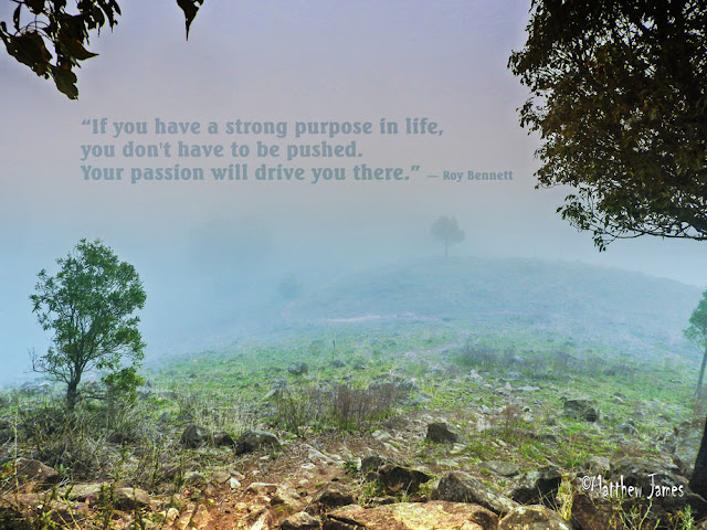 “If you have a strong purpose in life, you don't have to be pushed. Your passion will drive you there.” ― Roy Bennett 