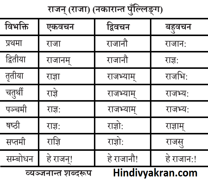 राजन् शब्द रूप संस्कृत में – Rajan Shabd Roop Pulling In Sanskrit