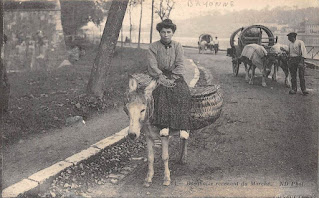 pays basque 1900 marché âne femme
