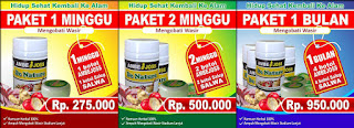 Obat Herbal