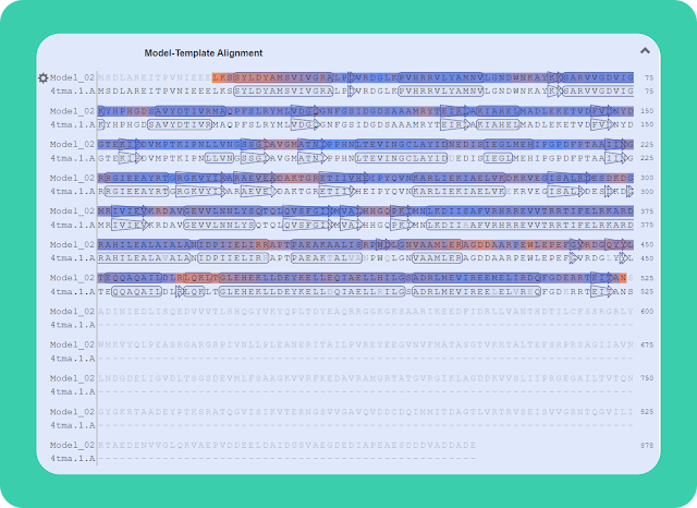 Homology Modelling