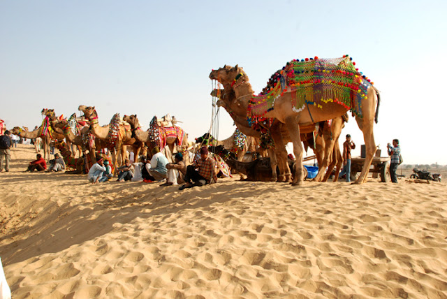 Thar desert bikaner