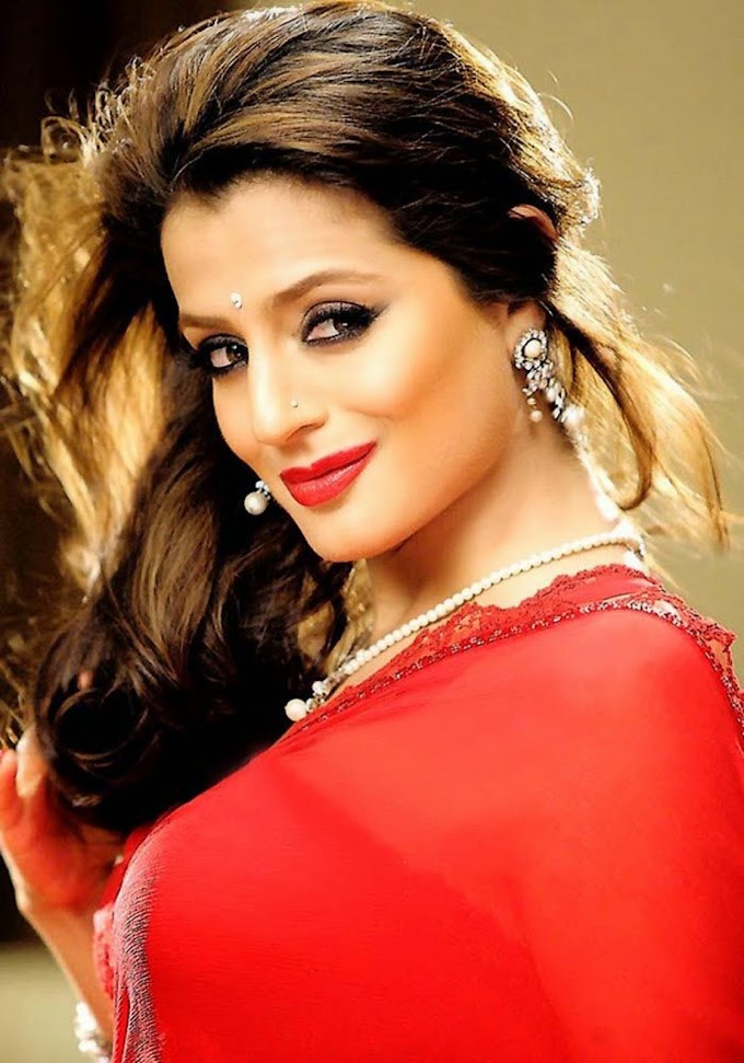 Amisha Patel in Hot Red Saree Stills