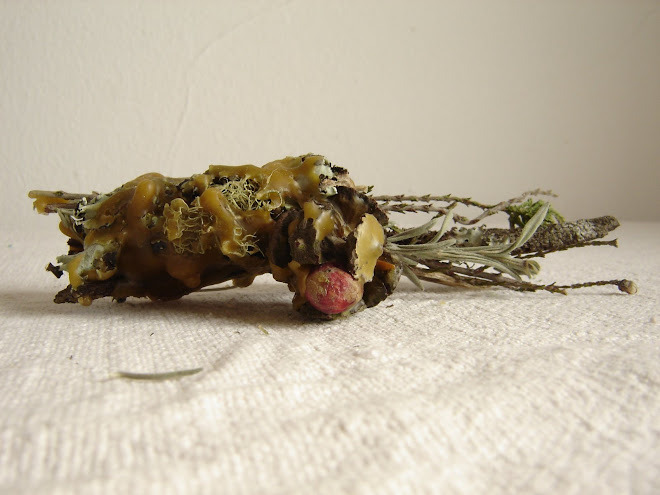 Natureza ao Peito 10