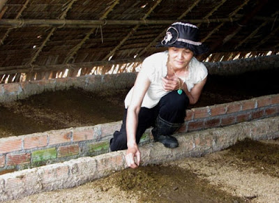 Chuồng nuôi trùn quế 3