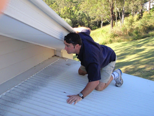 building and pest inspection brisbane