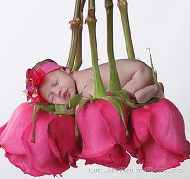 Pictures of Babies with Flowers