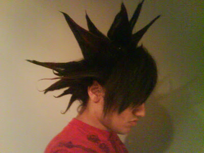 punk hairstyles for guys. is cool punk hairstyle