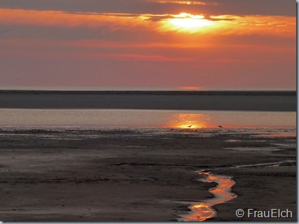Langeoog5