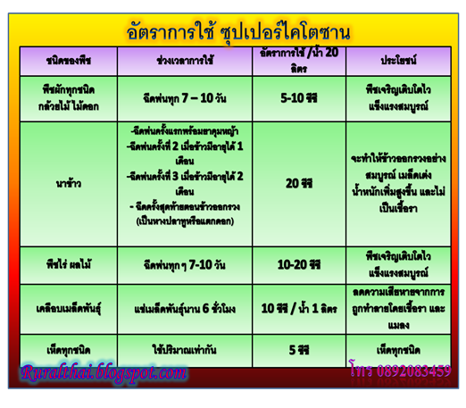 ซุปเปอร์ นาโนไคโตซาน