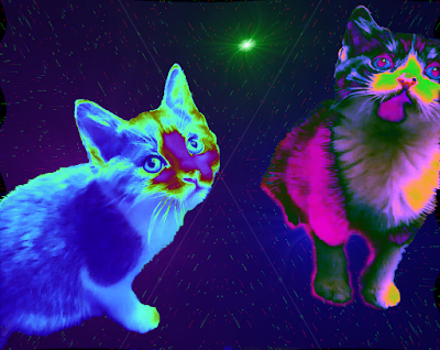 Two kittens in space with color warping