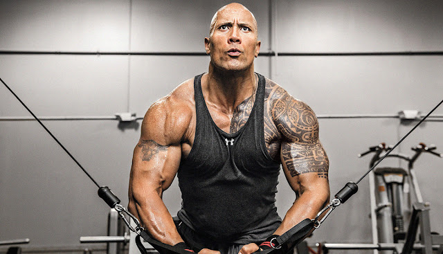 Dwayne Johnson, Richest Wrestlers in the World, Richest