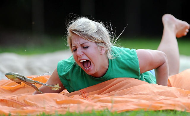 frog-jump-festival (12)