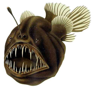 angler fish art. Deep+sea+angler+fish+