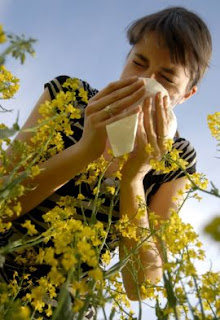 REMEDIOS NATURALES PARA LA ALERGIA