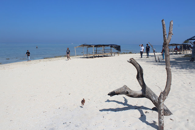 Menyapa Bintang Laut Biru di Pulau Samalona Makasar