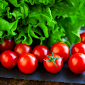 4 Aplikasi Belanja Sayur Online Paling Rekomended