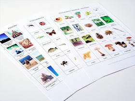 na zdjęciu widać trzy kartki formatu a4 z nadrukowanymi elementami przyrody takimi jak kaszta, mrowisko, motyl, ryba i wiele innych