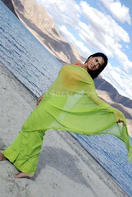 Sameera Reddy Transparent Saree Images