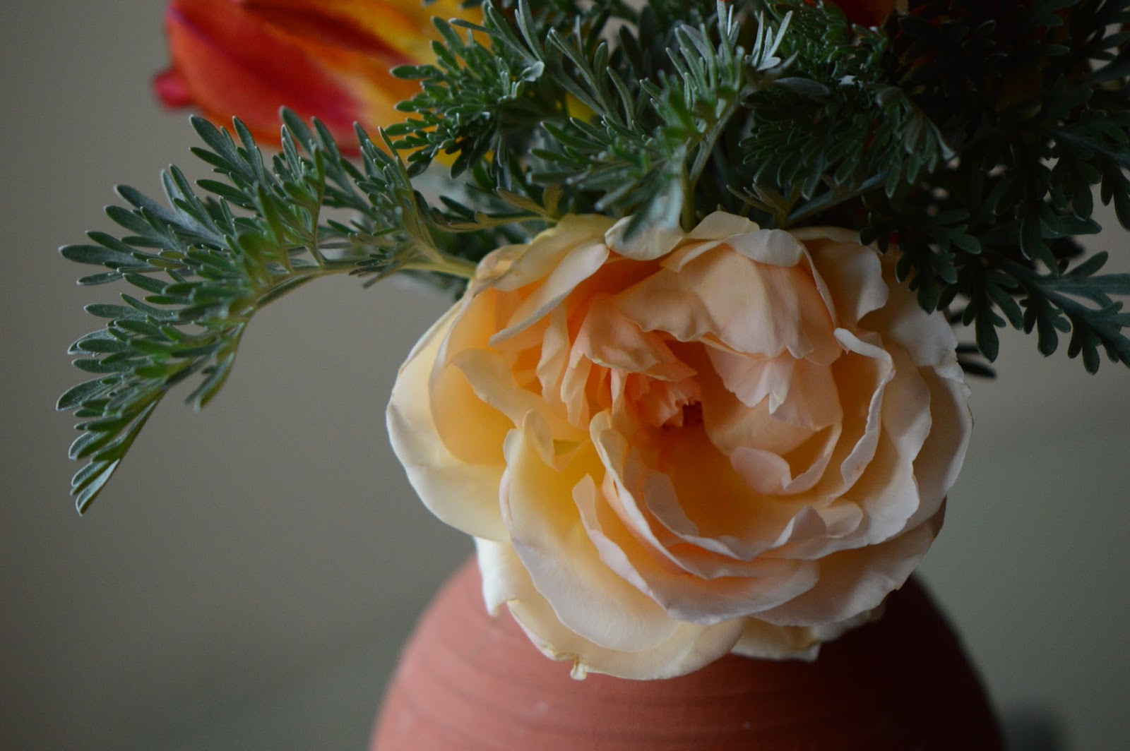A Small Sunny Garden In A Vase Spring Sequence