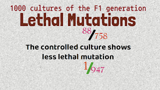 Lethal mutation