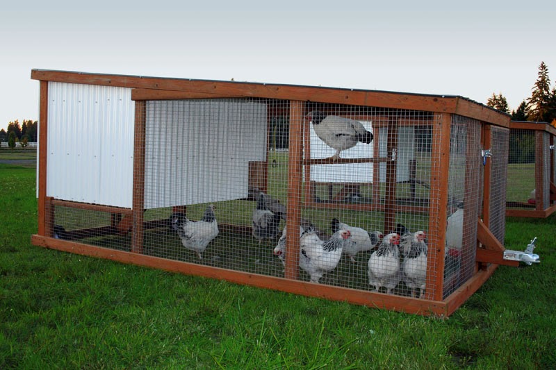 Chicken House Plans: Chicken Coop Design Plans