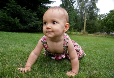 SONY DSC