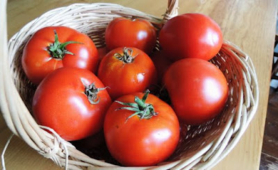 buah tomat merah untuk di jus
