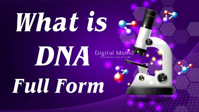 DNA Full-Form | DNA Full Form in Medical | What is DNA | Digital Msmd