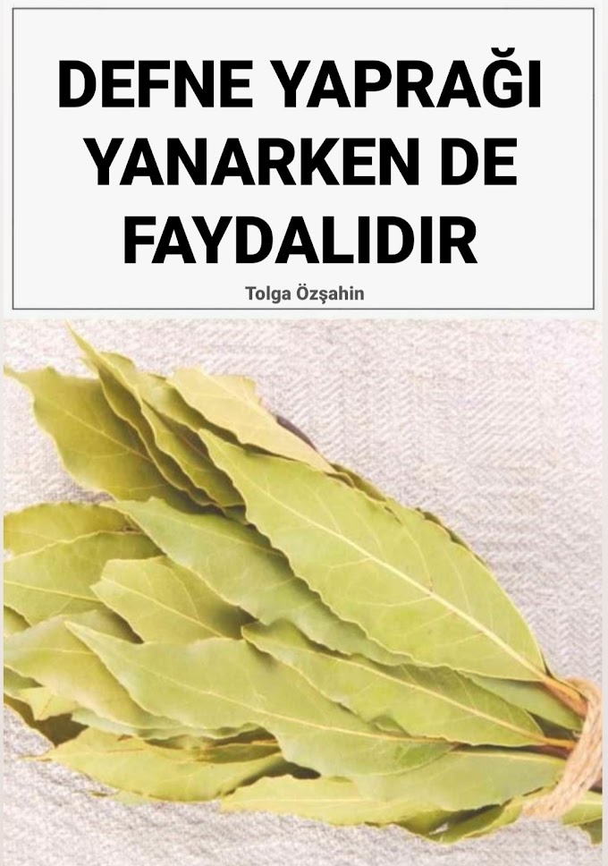 DEFNE YAPRAĞI YANARKEN DE ŞİFADIR