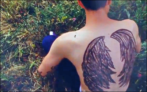 4 Angel wing tattoos 5 The fact that Emeli Sand has dozens of other 