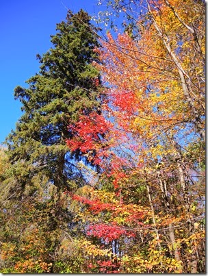 DSCN4003