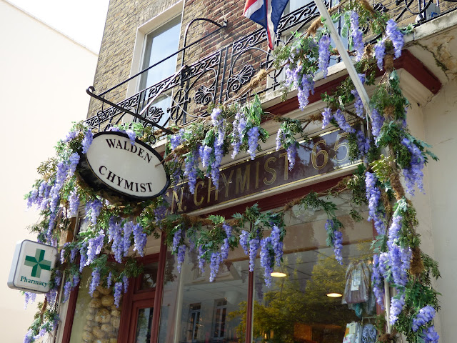 Wysteria histeria on a pharmacy in London, for free flower festival Belgravia in Bloom 2018