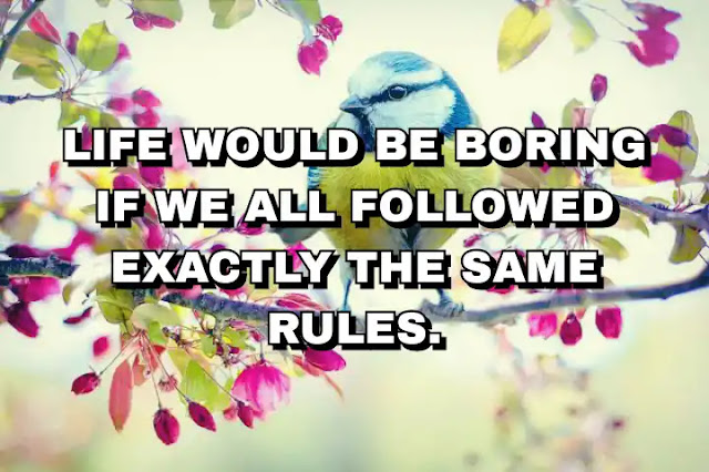Life would be boring if we all followed exactly the same rules.