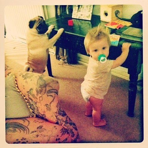 Quem E Lux Ou Baby Lux Crazy For One Direction Brasil Quem E Lux Ou Baby Lux Crazy For One Direction Brasil